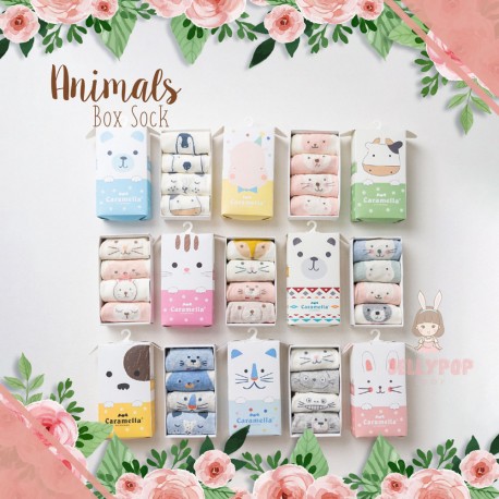 Animals Box Sock